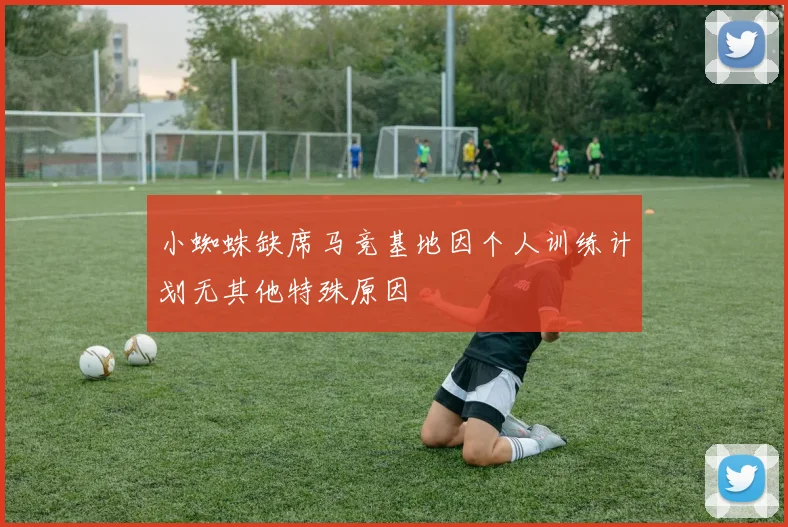 小蜘蛛缺席马竞基地因个人训练计划无其他特殊原因